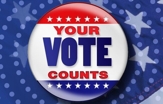 Nov. 4 General Election: Meet the candidates in contested races